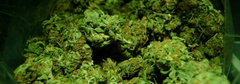 How Platinum Gorilla Can Help With Nerve Damage?