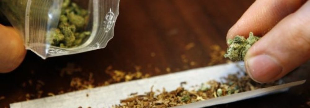 Get Best Weeds From On the web Dispensary Canada