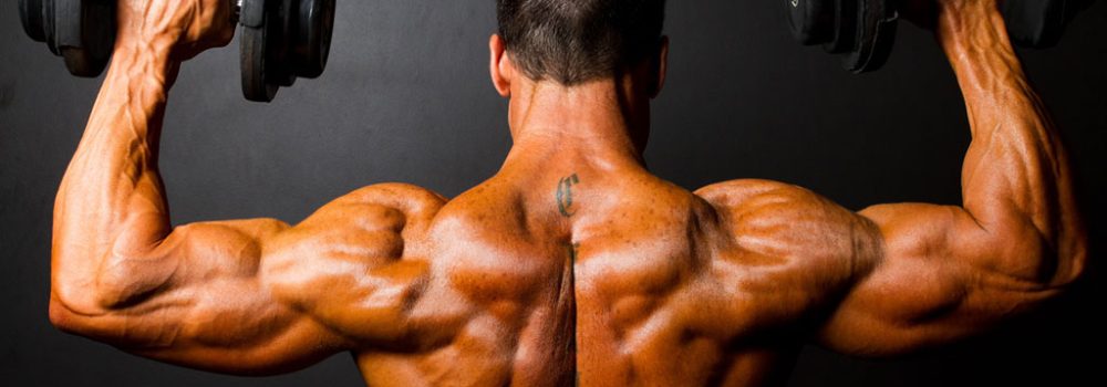 How do you determine which steroid to purchase?
