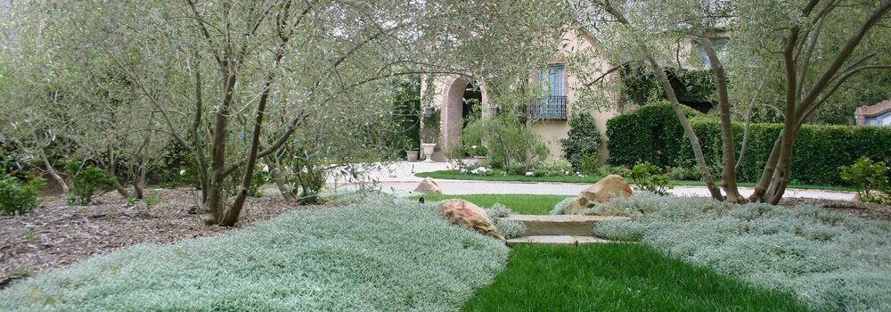 You will find the most effective Montecito organic lawn fertilizer.