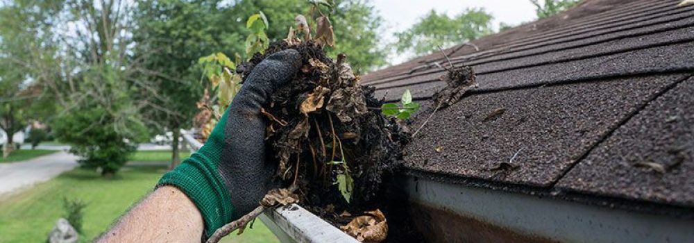Reliable Gutter Cleaning: Safeguarding Your Home from Water Issues