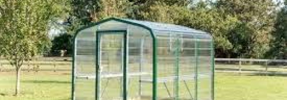 Greenhouses: Growing Your Own Oasis of Plants